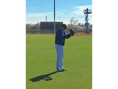 Shohei Ohtani: The Japanese Babe Ruth 2