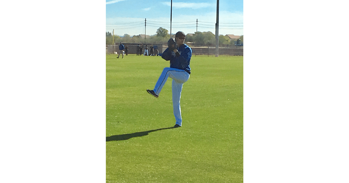 Shohei Ohtani: The Japanese Babe Ruth 1