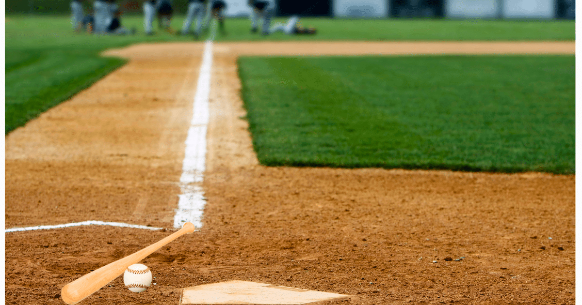 The 5 Best Portable Rebound Nets for Solo Catcher Drills 1