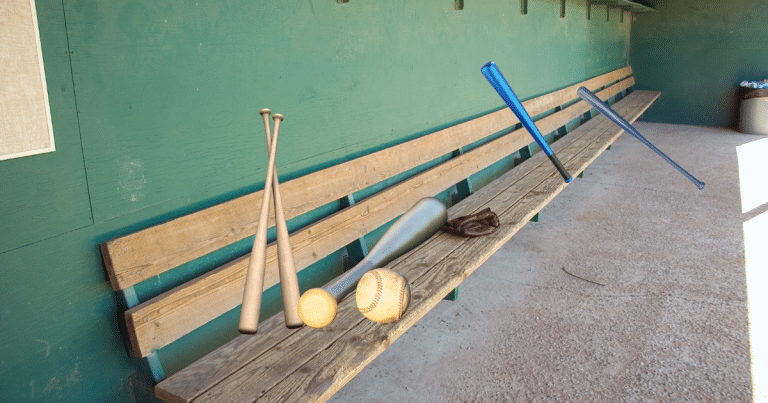 How to Store Your Baseball Bat Properly in the Offseason 6 How to Store Your Baseball Bat Properly in the Offseason
